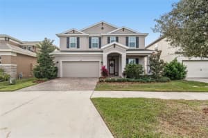 17738 Everlong Dr, LAND O LAKES