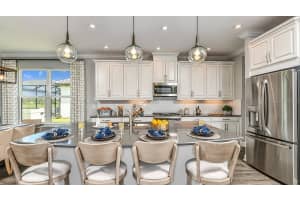 30087 Imperati Blvd, WESLEY CHAPEL