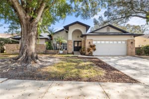 2917 Starmount Dr, VALRICO
