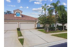 3892 Timber Ridge Ct, PALM HARBOR