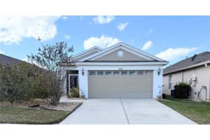 5044 Gato Del Sol Cir, WESLEY CHAPEL