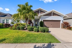 5557 Silver Sun Dr, APOLLO BEACH