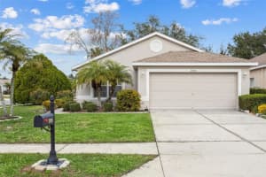 2946 Banyan Hill Ln, LAND O LAKES