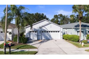 20907 Tangor Rd, LAND O LAKES