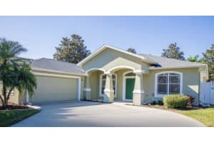 1616 Harvest Grove Ct, VALRICO