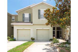 8931 Turnstone Haven Pl, TAMPA