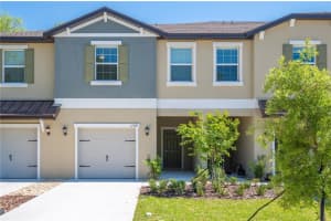 17399 Nectar Flume Dr, LAND O LAKES 17399 Nectar Flume Dr, LAND O LAKES