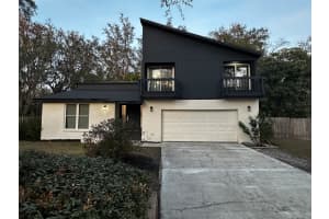 14709 Laurel Lake Ln, LUTZ