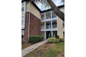 4211 Chatham Oak Ct #113, TAMPA