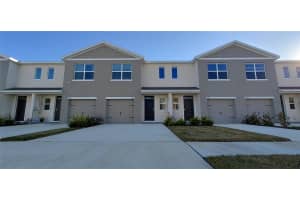 31268 Paper Birch St, WESLEY CHAPEL 31268 Paper Birch St, WESLEY CHAPEL