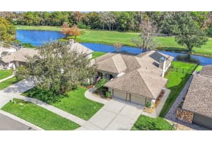 16311 E Course Dr, TAMPA