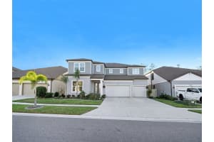 12923 Willow Grove Dr, RIVERVIEW