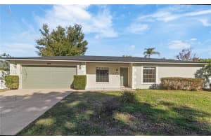 4103 Sand Lake Ct, TAMPA