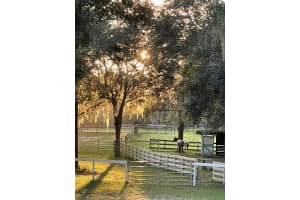 Xxx Trilby Trails Trl, DADE CITY