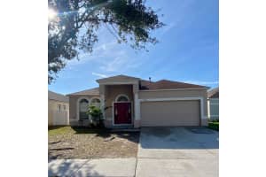 24844 Vintage Ct, LUTZ 24844 Vintage Ct, LUTZ