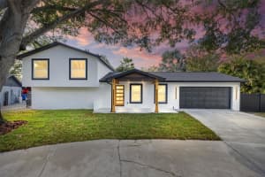 13824 Cherry Brook Ln, TAMPA