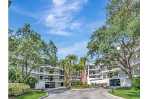 923 Seddon Cove Way #923, TAMPA