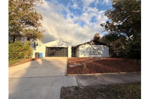 7513 Rustic Dr, TAMPA