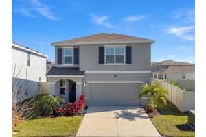 5568 Wandering Willow Dr, WESLEY CHAPEL