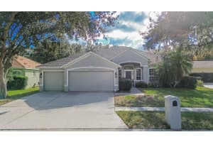 4423 Merrick Run Ln, VALRICO