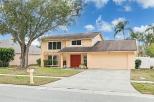 10904 Autumn Oak Pl, TAMPA