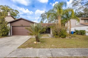 14841 Oak Vine Dr, LUTZ