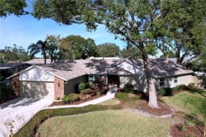 1618 Magdalene Manor Dr, TAMPA