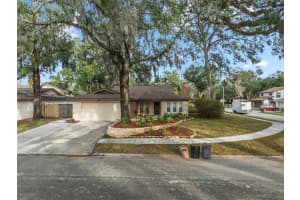 14801 Oak Vine Dr, LUTZ