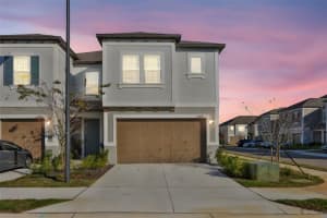 10824 Fanning Springs Ct, TAMPA