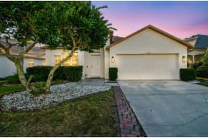 14526 Weeping Elm Dr, TAMPA