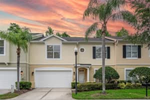 3415 Heards Ferry Dr, TAMPA