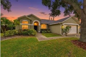 11417 Palm Pasture Dr, TAMPA