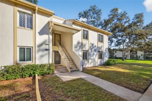 219 Palmetto Ct #219, OLDSMAR 219 Palmetto Ct #219, OLDSMAR