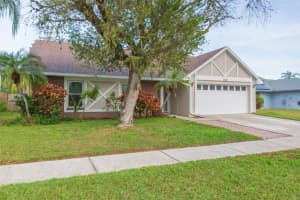 1907 Coral Tree Ct, BRANDON
