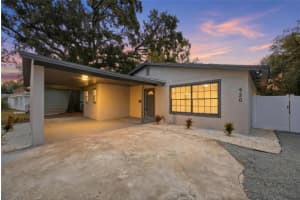 920 W Candlewood Ave, TAMPA