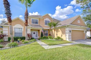 12808 Birmingham St, TAMPA