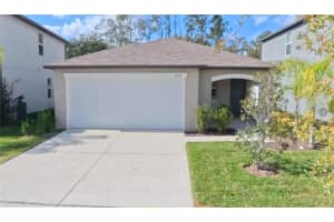 12727 Maple Bonsai Dr, RIVERVIEW