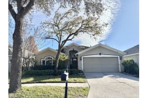 9932 Stockbridge Dr, TAMPA