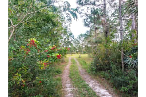 8590 130th Ave, FELLSMERE 8590 130th Ave, FELLSMERE