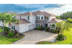 2611 Coco Palm Cir, WESLEY CHAPEL 2611 Coco Palm Cir, WESLEY CHAPEL