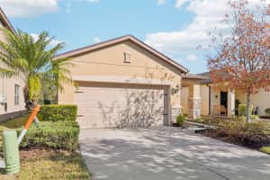 5937 Sweet Birch Dr, RIVERVIEW