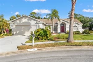 13732 Triumph Ct, HUDSON