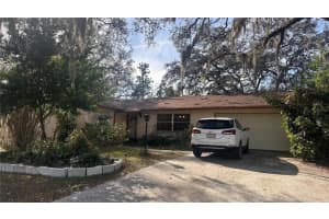 7012 Doreen St, TAMPA