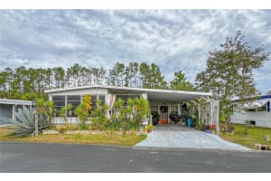 34543 Rosebud Row, ZEPHYRHILLS 34543 Rosebud Row, ZEPHYRHILLS