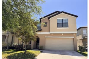 12717 Lemon Pepper Dr, RIVERVIEW