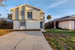 11033 Springridge Dr, TAMPA