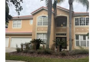 9212 Meadow Lane Ct, TAMPA