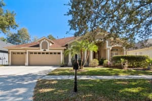 8359 Golden Prairie Dr, TAMPA 8359 Golden Prairie Dr, TAMPA