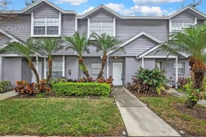 3414 Arbor Oaks Ct, TAMPA