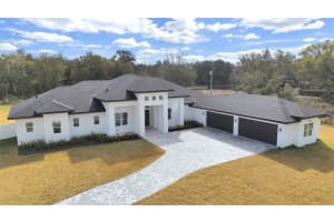 17841 Simmons Rd, LUTZ